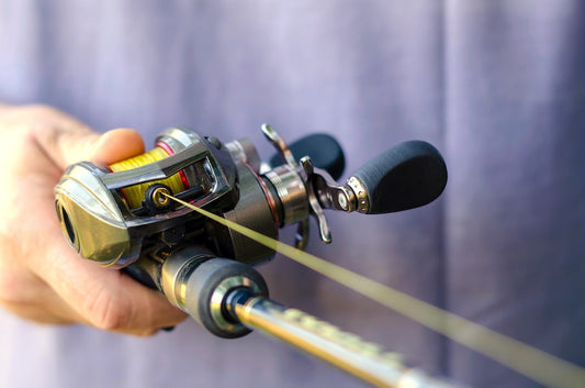 Bien choisir sa tresse pour la pêche du carnassier