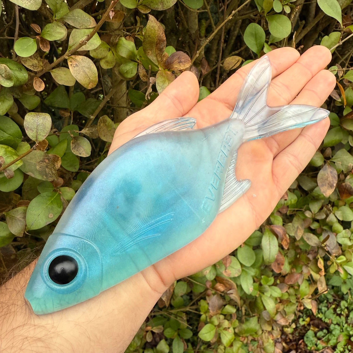 EVERBREAM - HEISENBERG