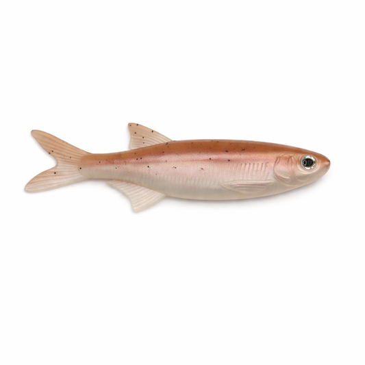 EVERBLEAK - BAITFISH