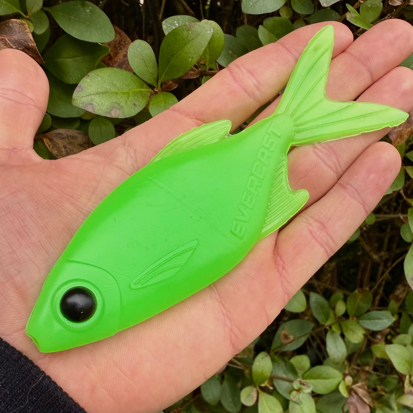 EVERBREAM - CHARTREUSE