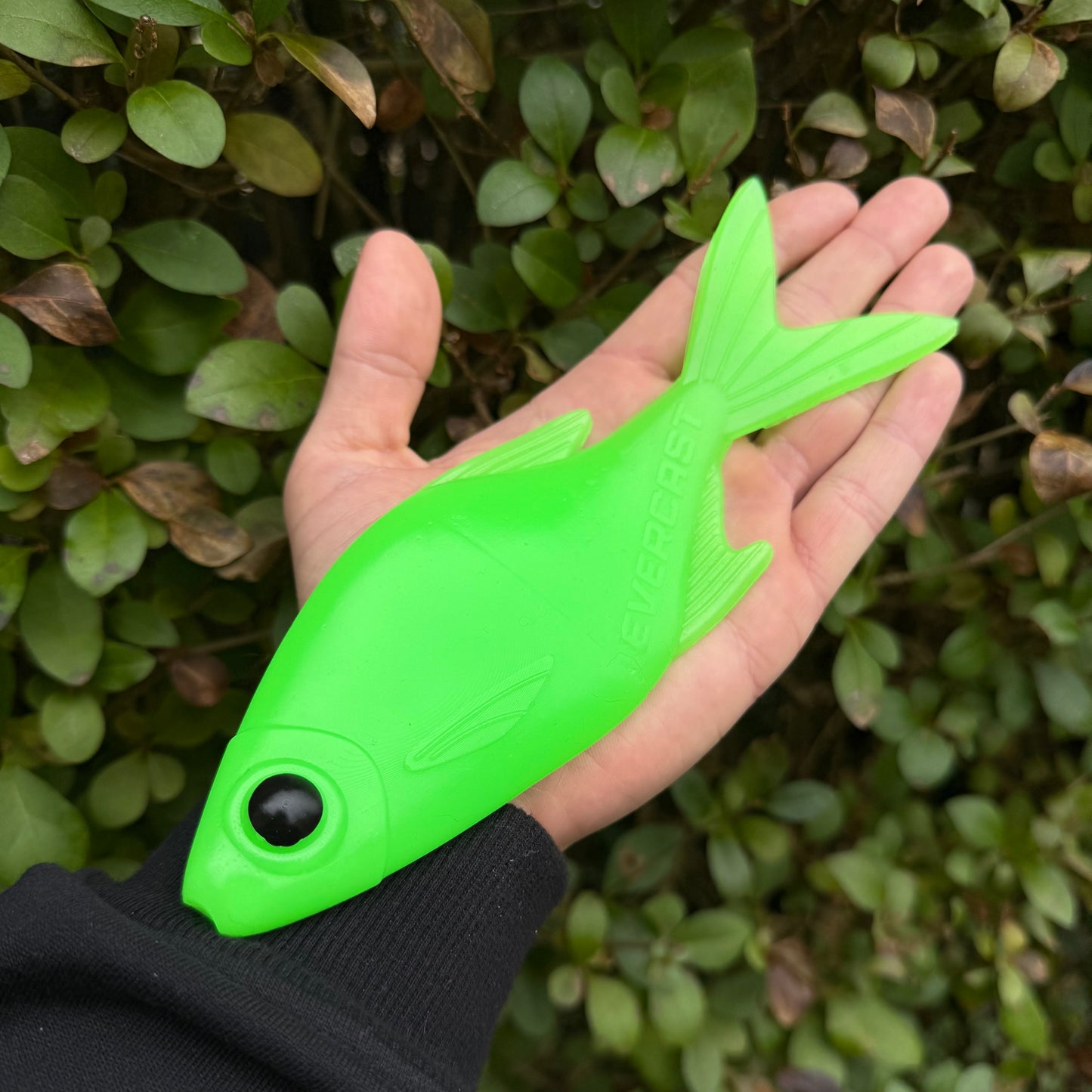 EVERBREAM - CHARTREUSE